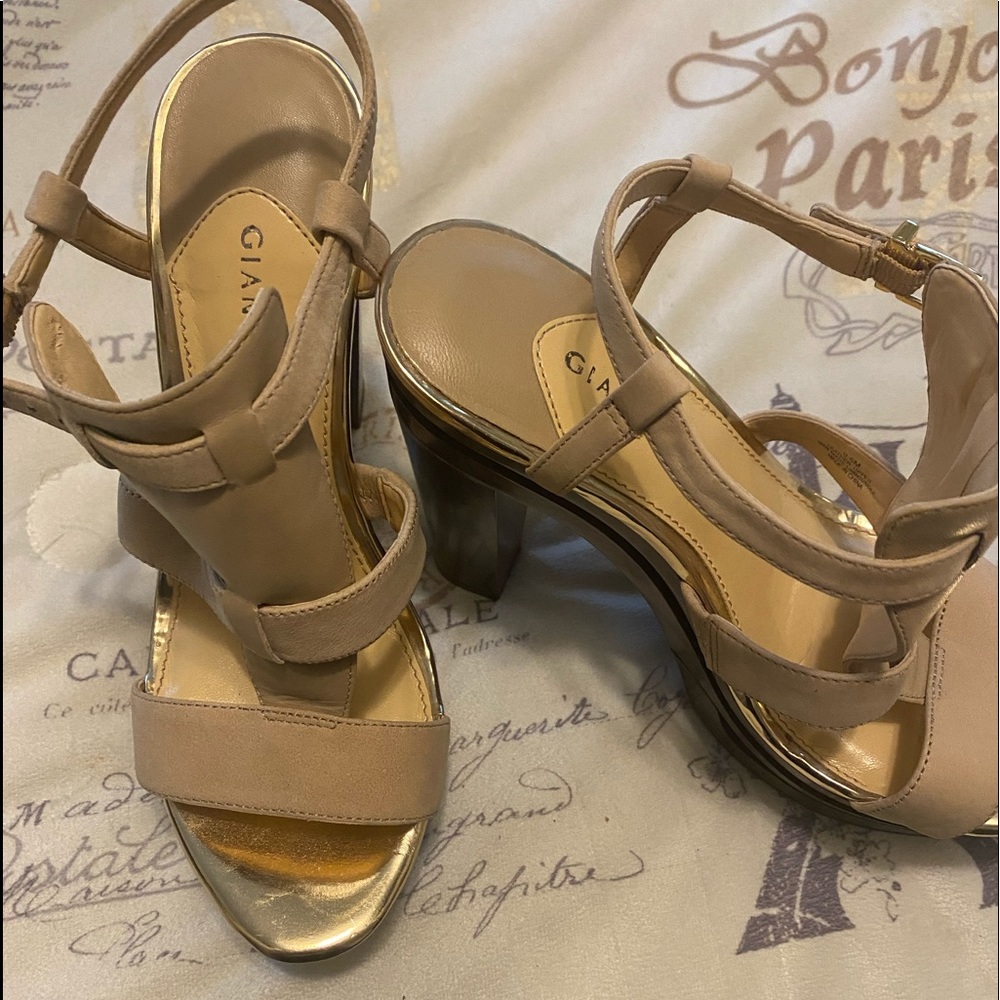Women Shoe